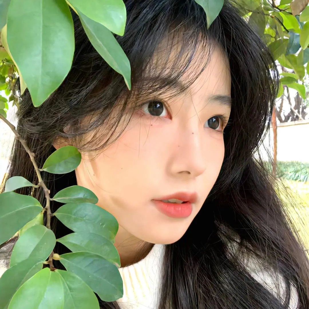 寂寞调香师